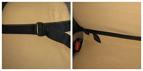 Multicolor Car Organizer