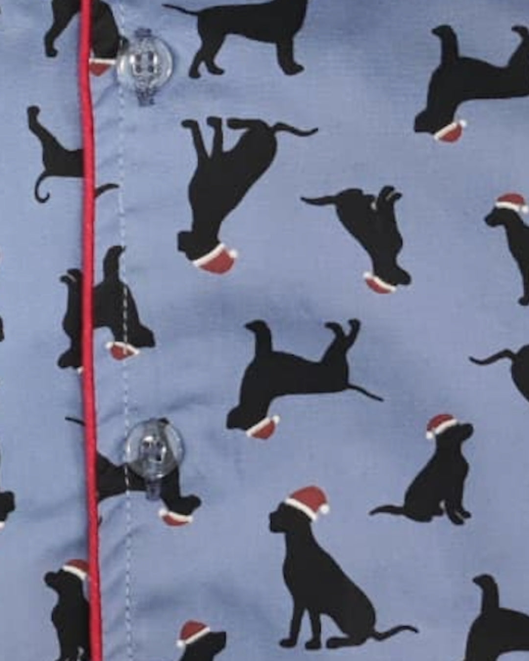 Blue Premium Cotton Puppy Printed Nightsuit for Girls